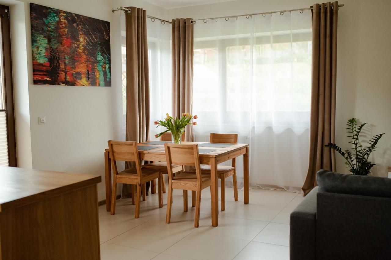Apartament Sloneczna Rapsodia - Blisko Parku Zdrojowego - Piekny Widok - Ogrod - Taras رابكا المظهر الخارجي الصورة
